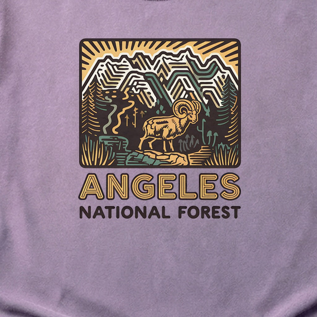 Angeles National Forest Vintage Cotton T-Shirt