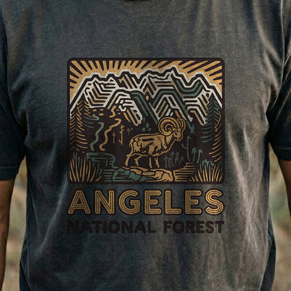 Angeles National Forest Vintage Cotton T-Shirt