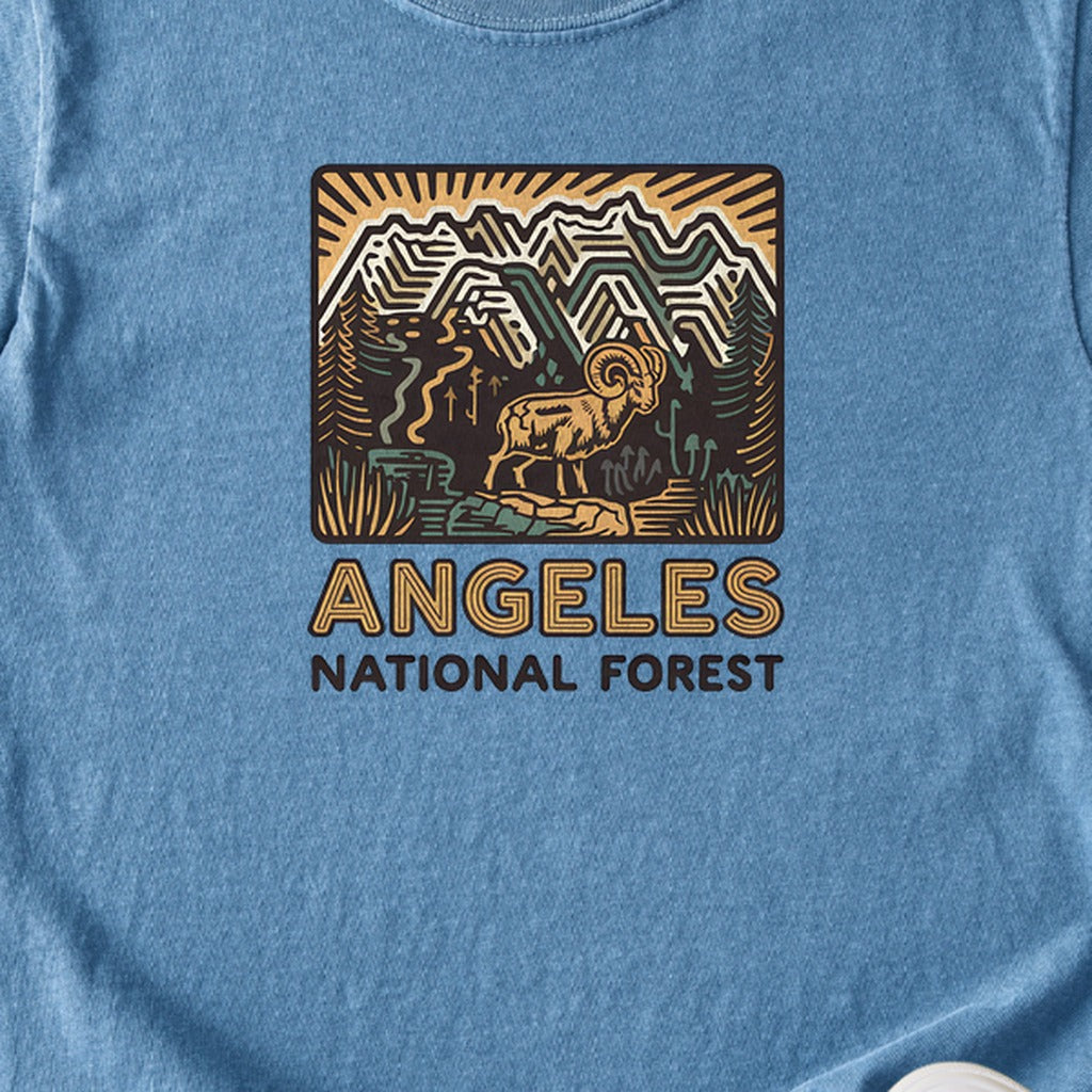 Angeles National Forest Vintage Kids Cotton T-Shirt