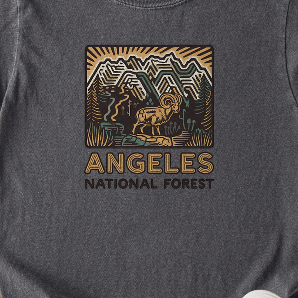 Angeles National Forest Vintage Kids Cotton T-Shirt