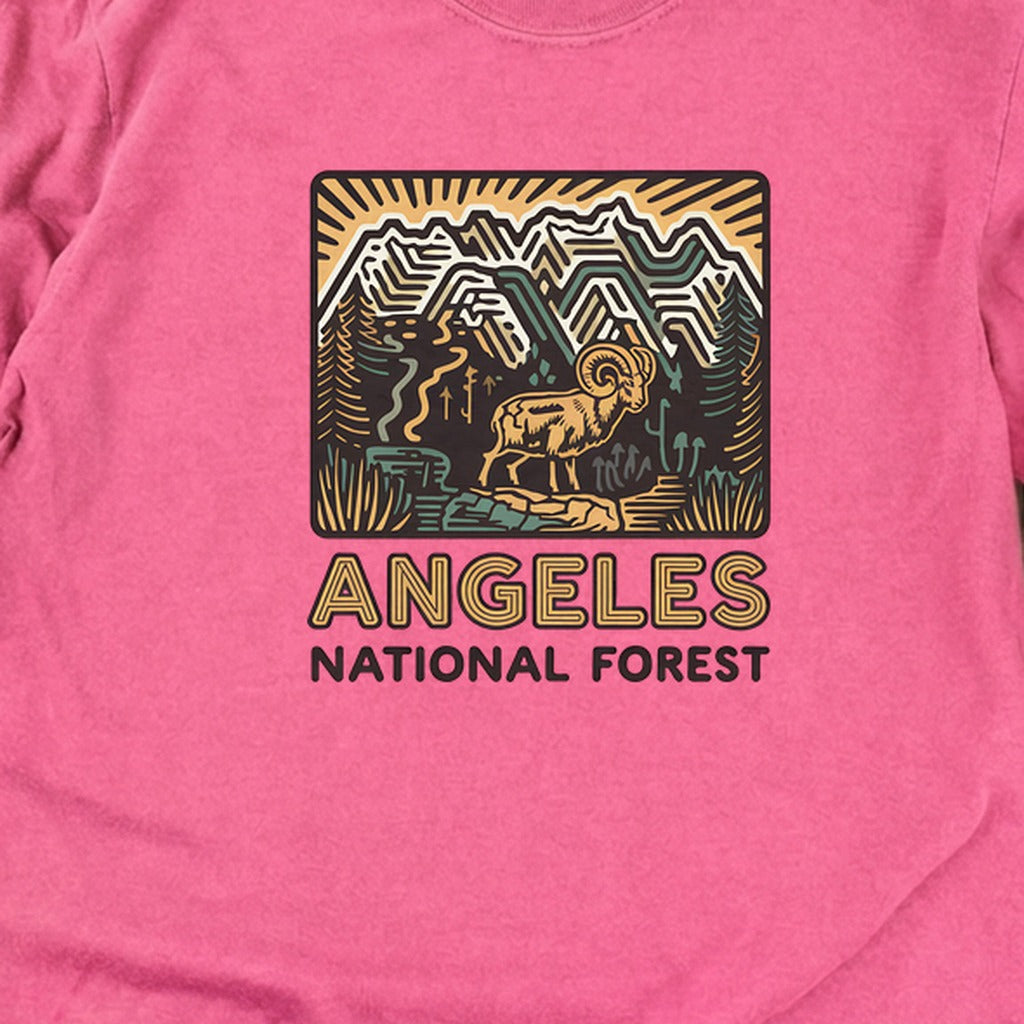 Angeles National Forest Vintage Cotton Long Sleeve