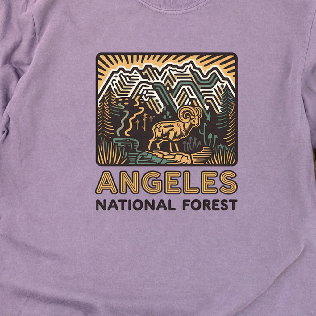 Angeles National Forest Vintage Cotton Long Sleeve