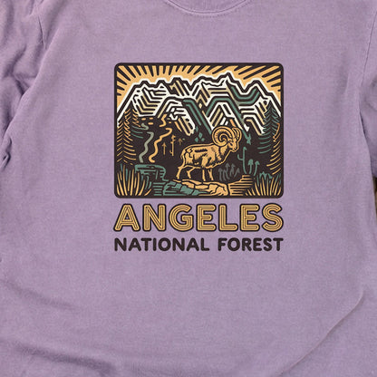 Angeles National Forest Vintage Cotton Long Sleeve