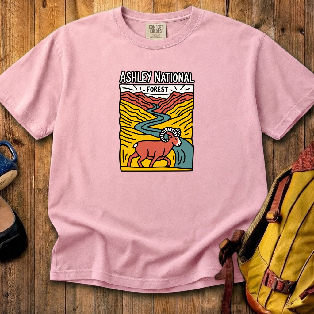 Ashley National Forest Cotton T-Shirt
