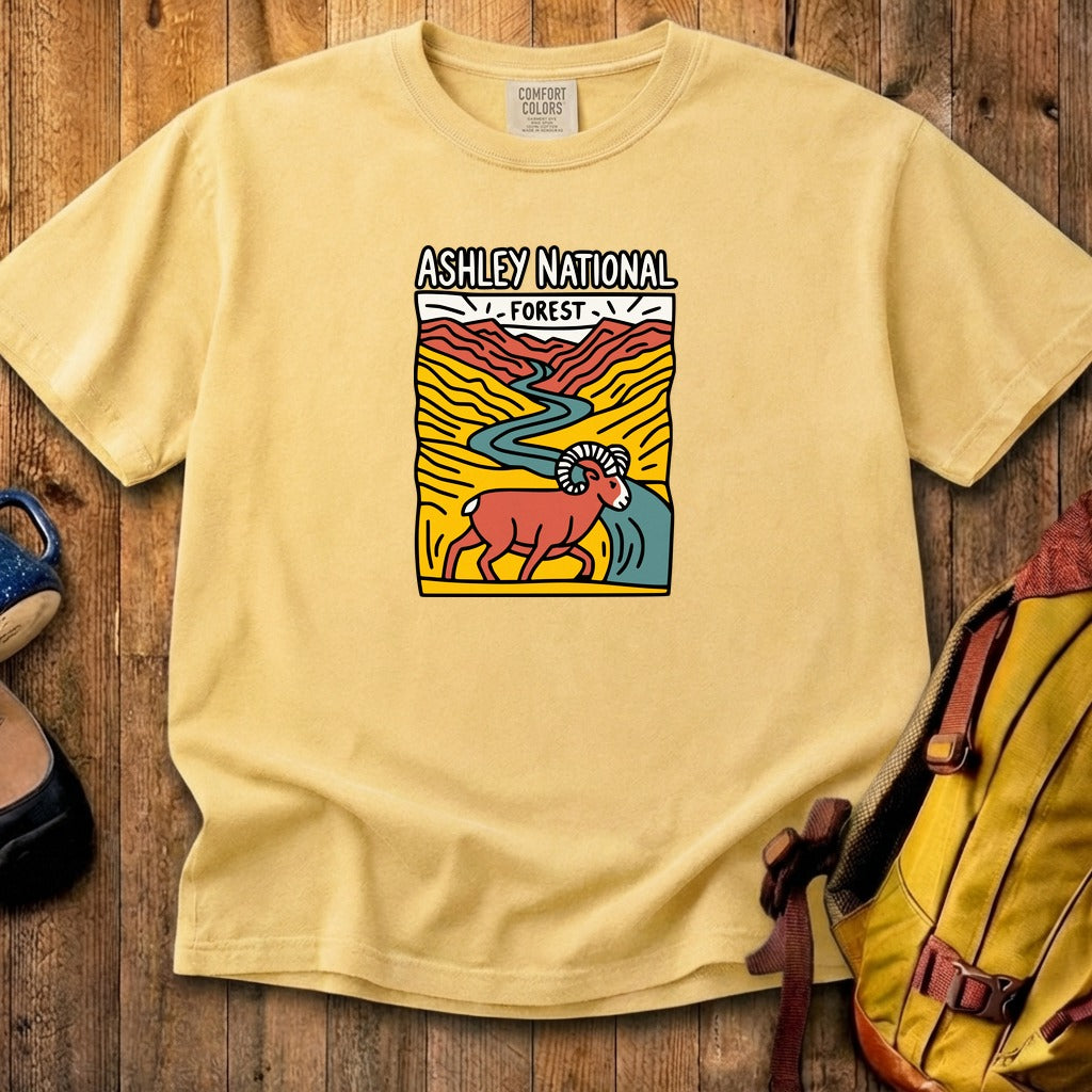 Ashley National Forest Cotton T-Shirt