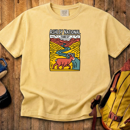 Ashley National Forest Cotton T-Shirt