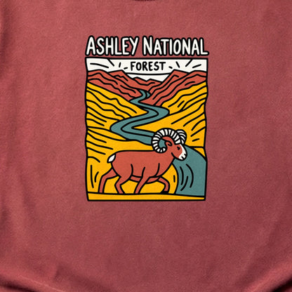 Ashley National Forest Cotton T-Shirt