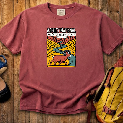 Ashley National Forest Cotton T-Shirt