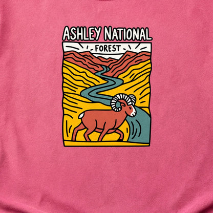 Ashley National Forest Cotton T-Shirt