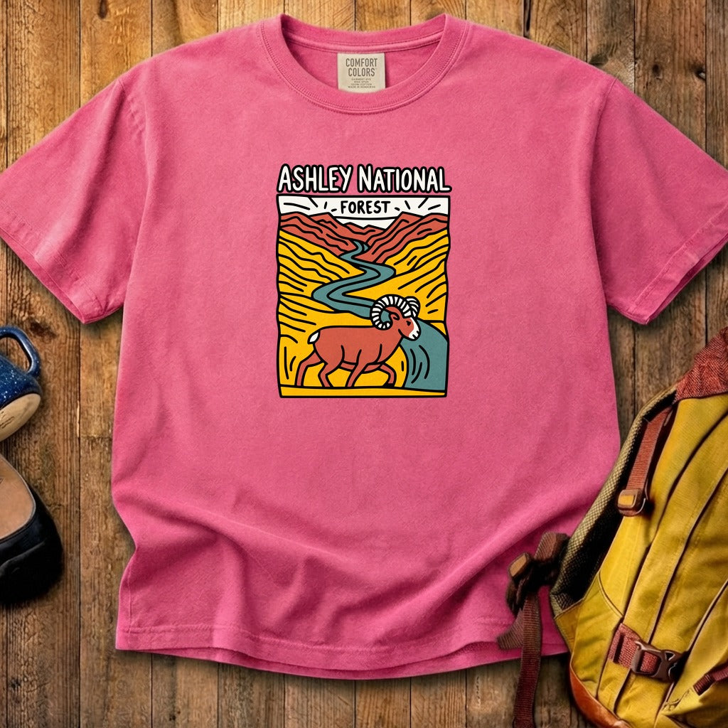 Ashley National Forest Cotton T-Shirt