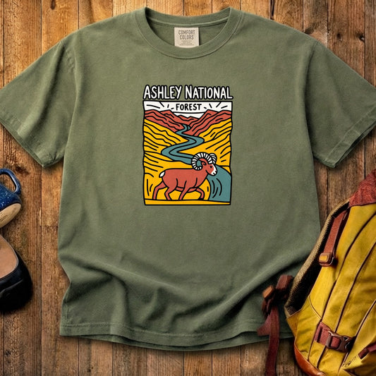Ashley National Forest Cotton T-Shirt