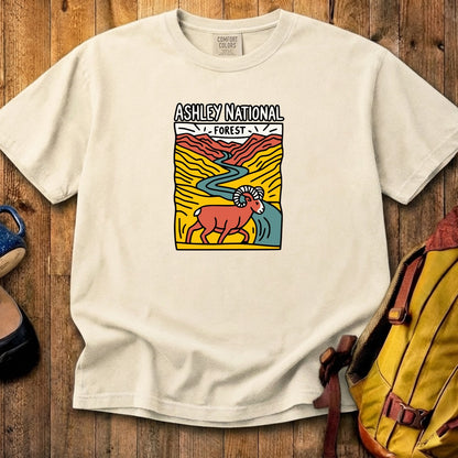 Ashley National Forest Cotton T-Shirt