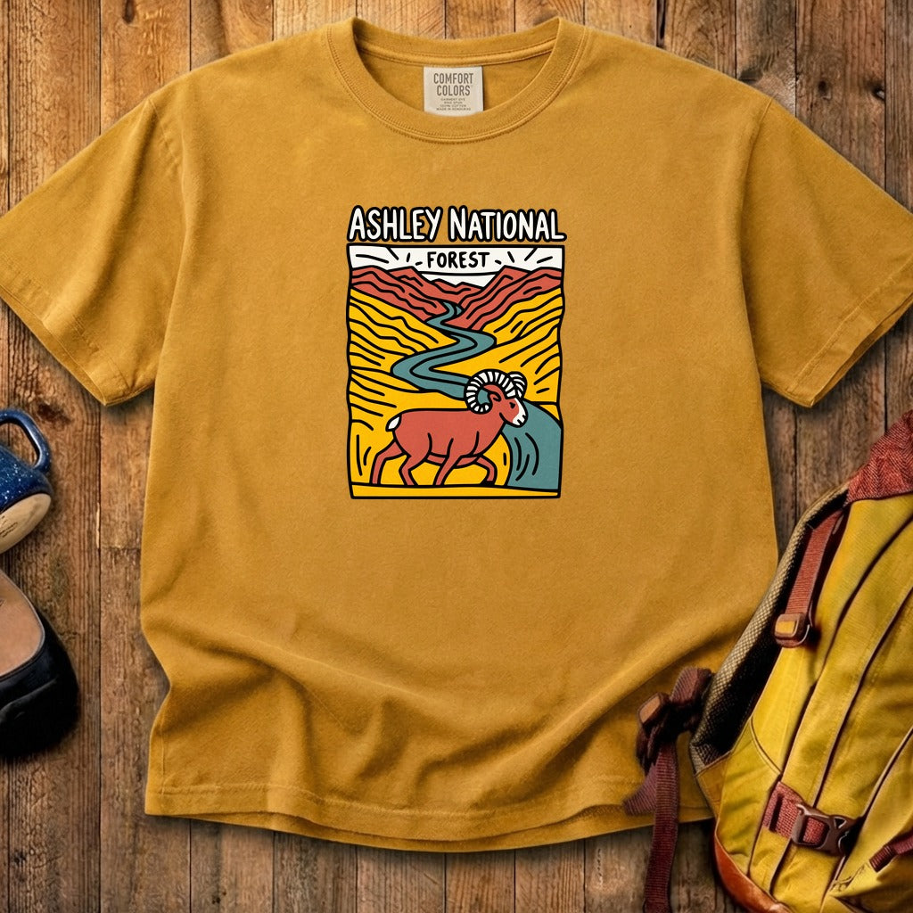 Ashley National Forest Cotton T-Shirt