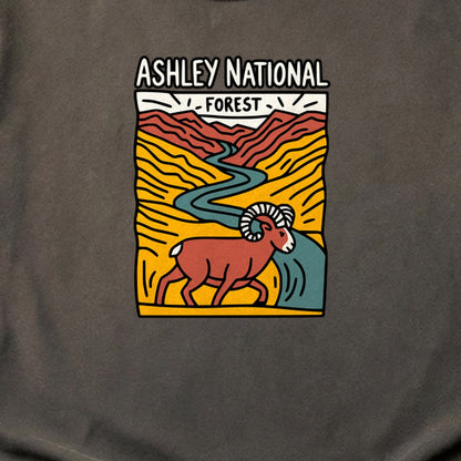 Ashley National Forest Cotton T-Shirt