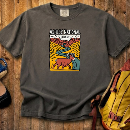 Ashley National Forest Cotton T-Shirt