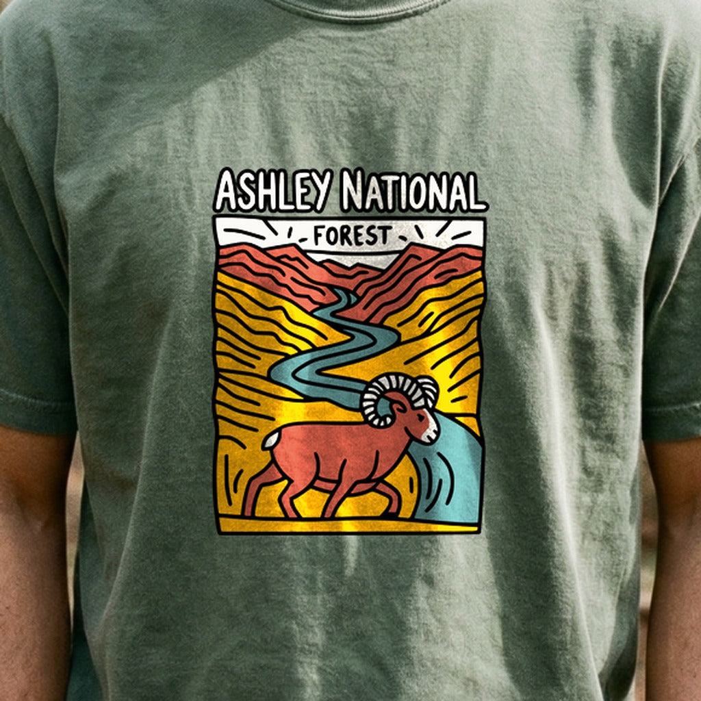Ashley National Forest Cotton T-Shirt