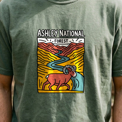 Ashley National Forest Cotton T-Shirt