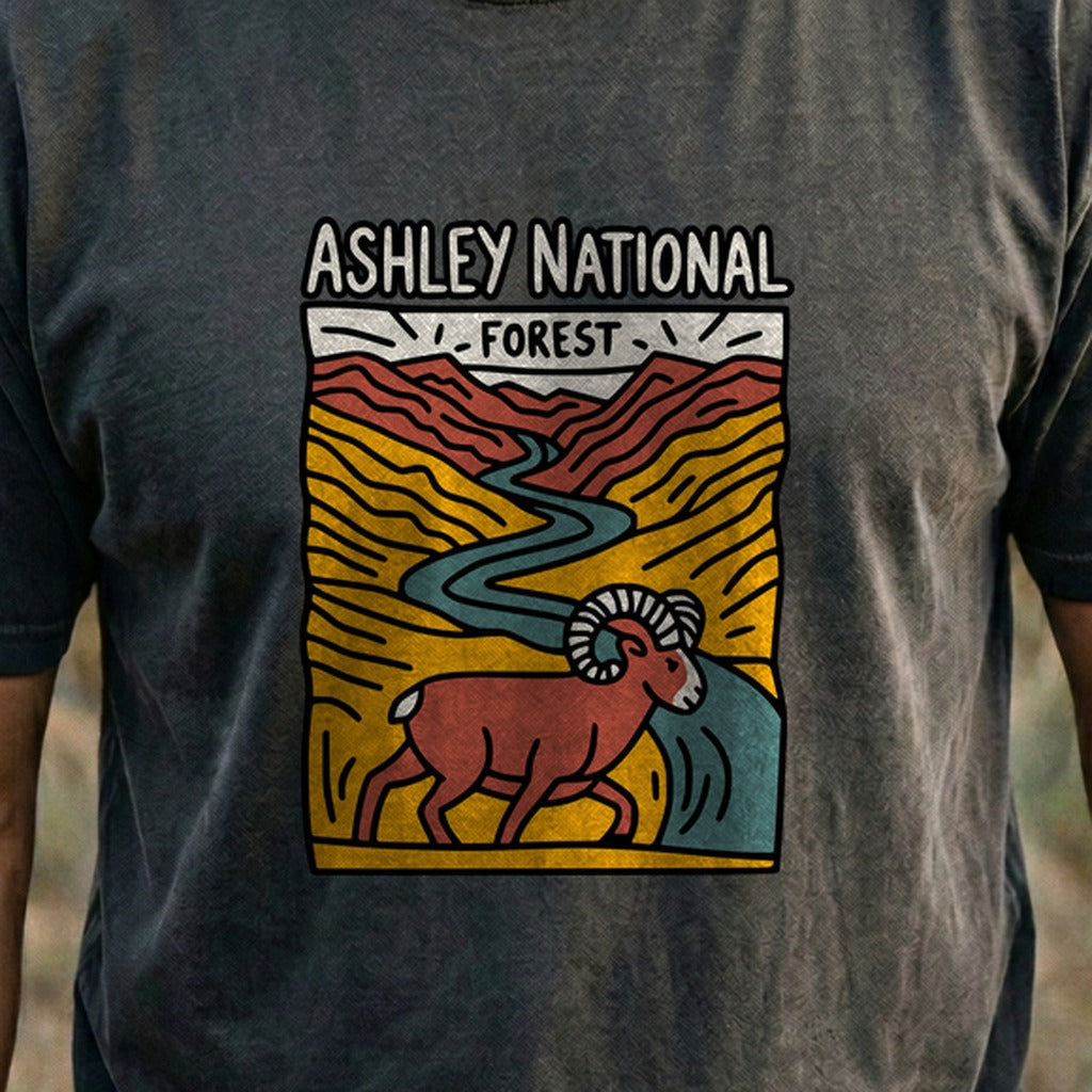 Ashley National Forest Cotton T-Shirt