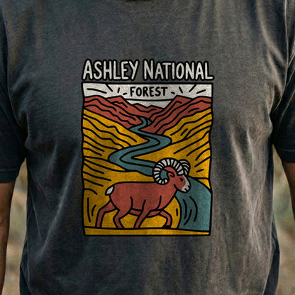 Ashley National Forest Cotton T-Shirt