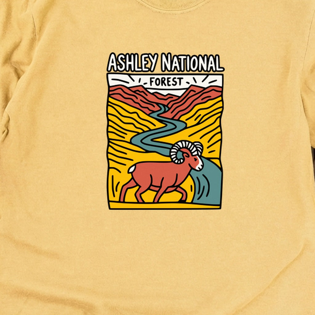 Ashley National Forest Cotton Long Sleeve