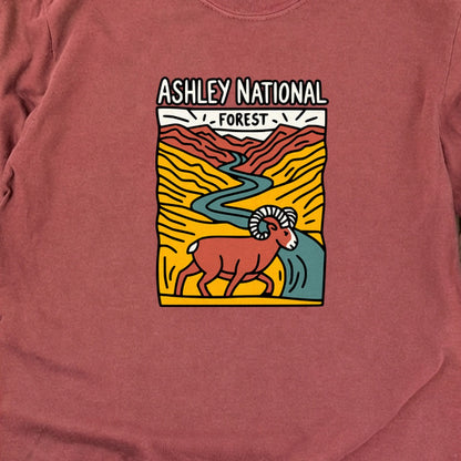 Ashley National Forest Cotton Long Sleeve