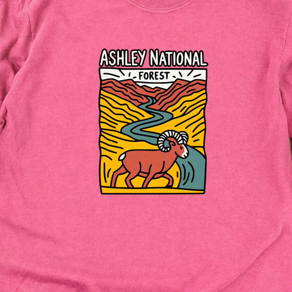 Ashley National Forest Cotton Long Sleeve
