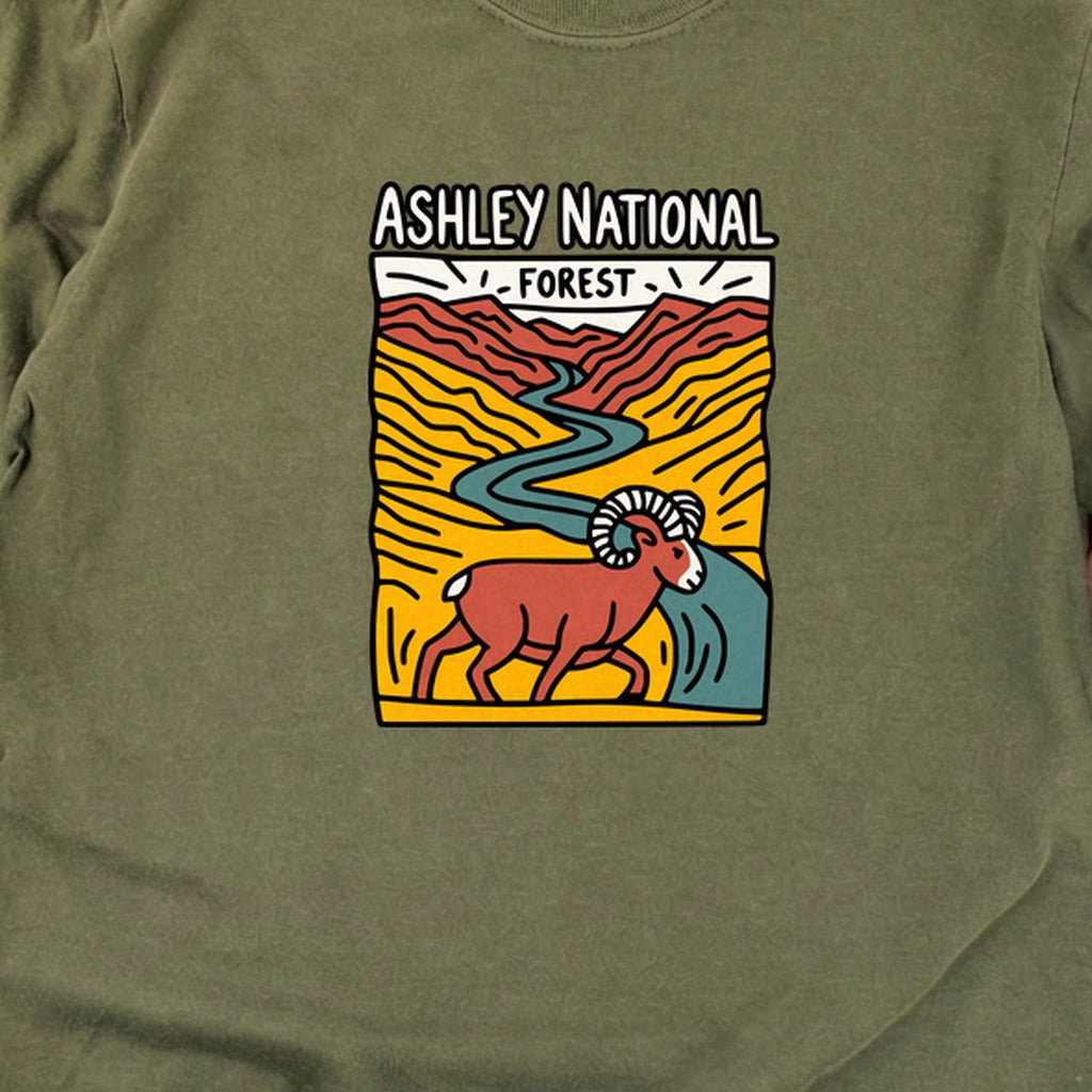 Ashley National Forest Cotton Long Sleeve