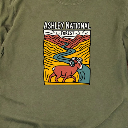 Ashley National Forest Cotton Long Sleeve
