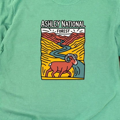 Ashley National Forest Cotton Long Sleeve