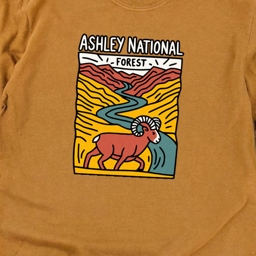Ashley National Forest Cotton Long Sleeve