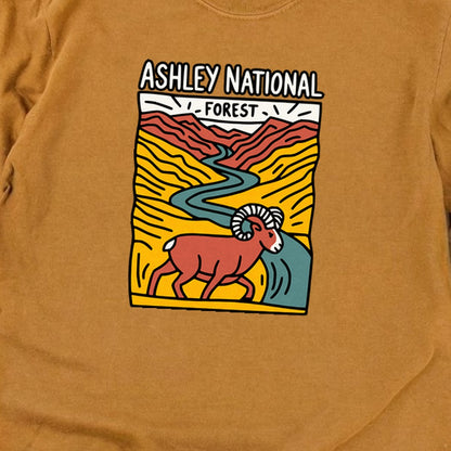 Ashley National Forest Cotton Long Sleeve