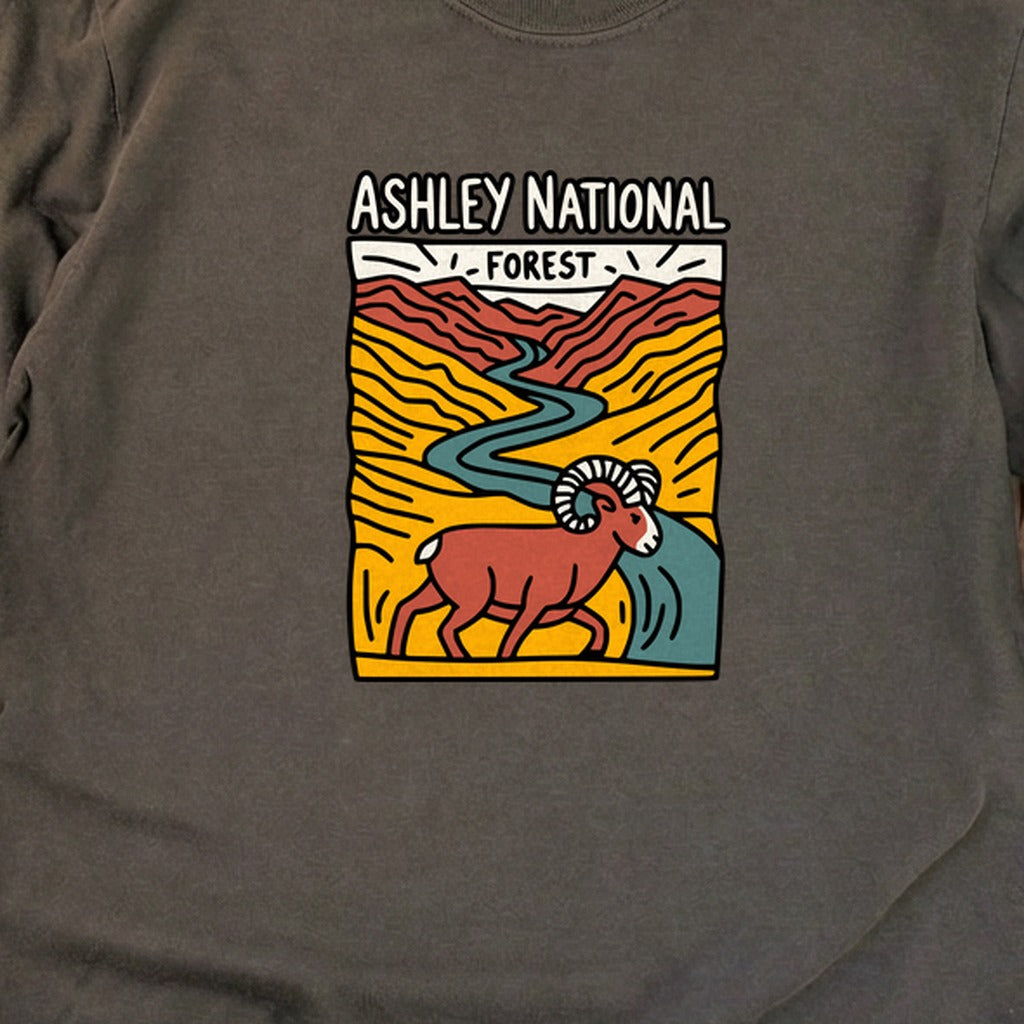 Ashley National Forest Cotton Long Sleeve