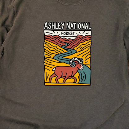 Ashley National Forest Cotton Long Sleeve