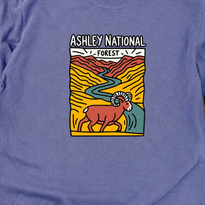 Ashley National Forest Cotton Long Sleeve