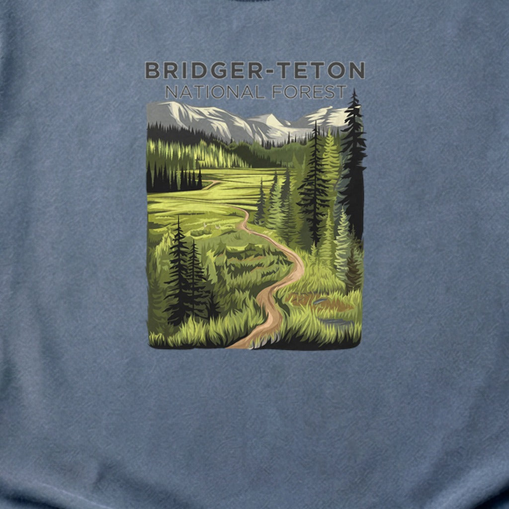 Bridger-Teton National Forest Cotton T-Shirt