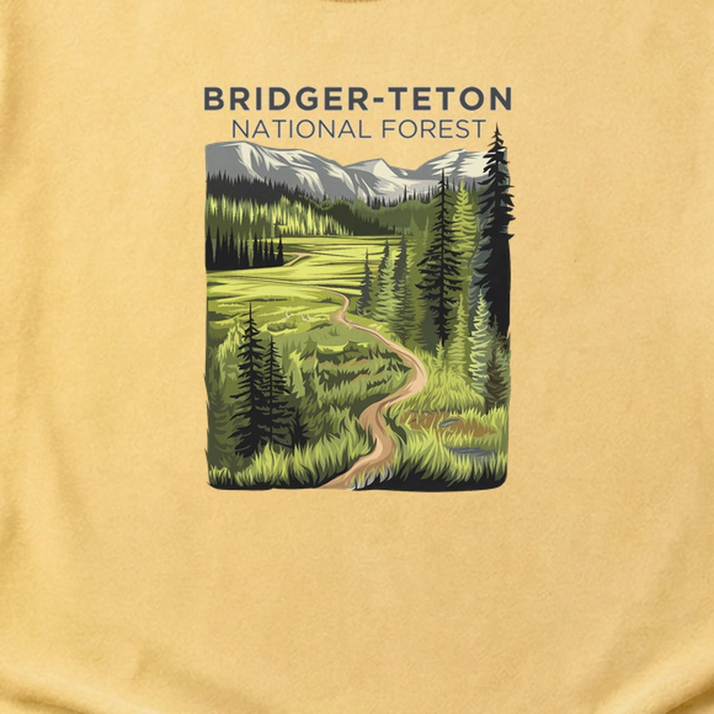 Bridger-Teton National Forest Cotton T-Shirt