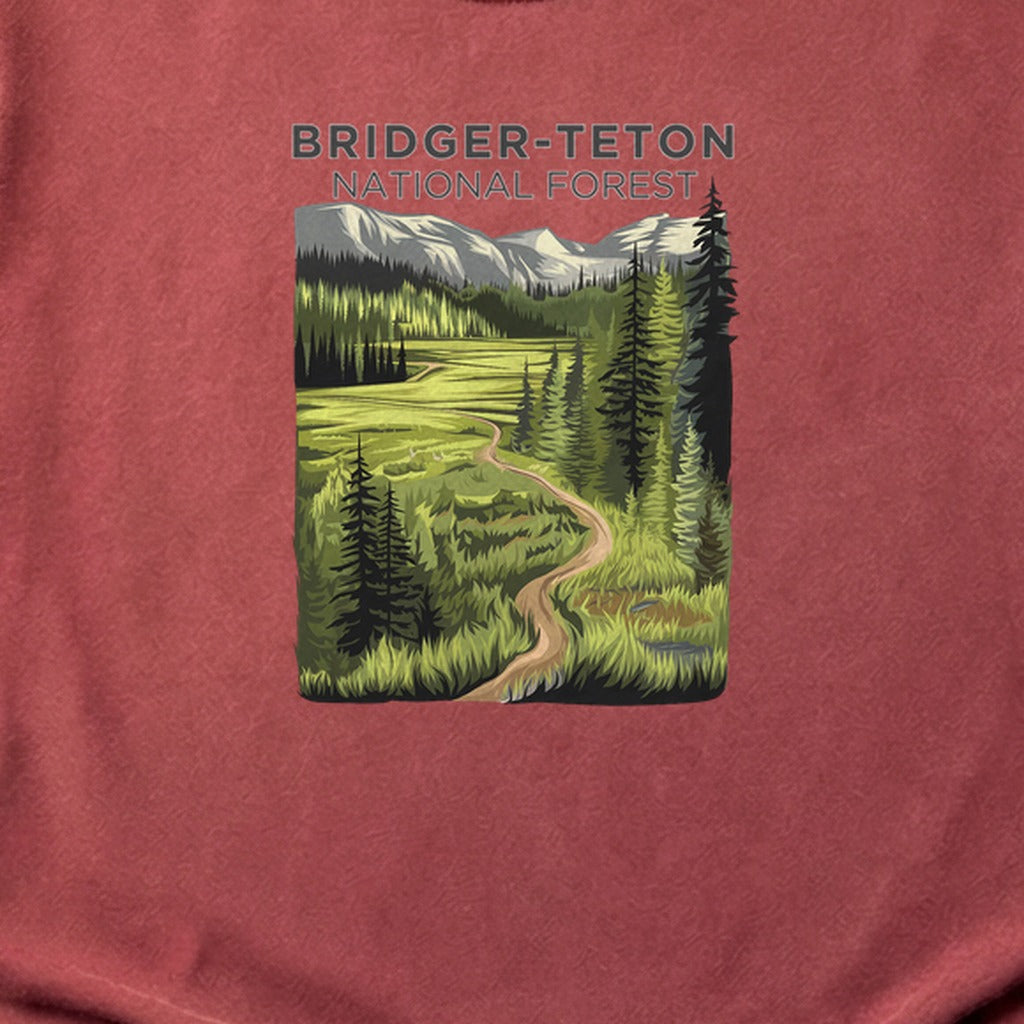 Bridger-Teton National Forest Cotton T-Shirt