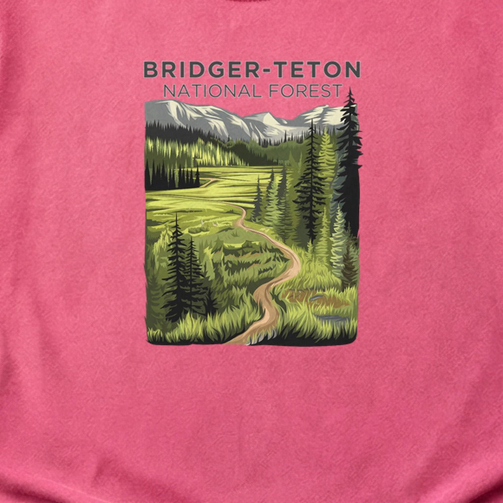Bridger-Teton National Forest Cotton T-Shirt