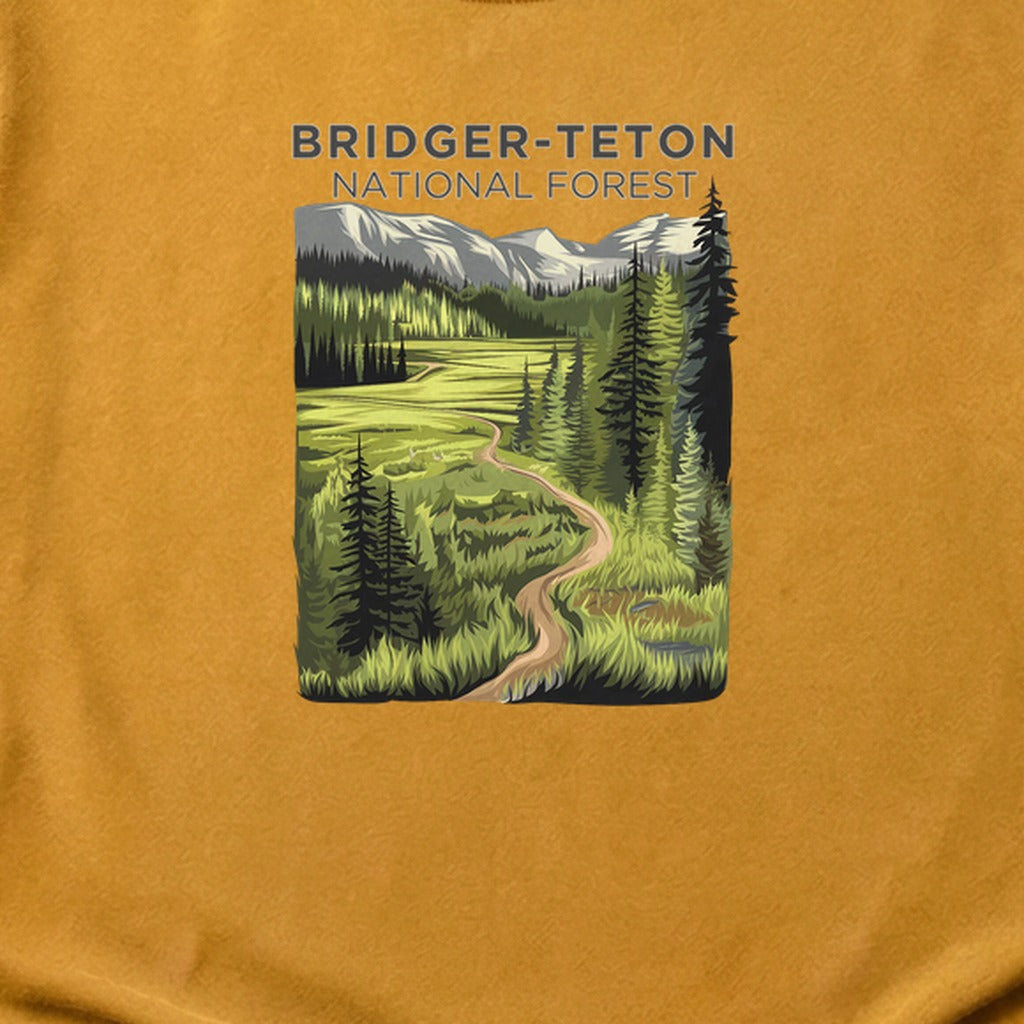 Bridger-Teton National Forest Cotton T-Shirt