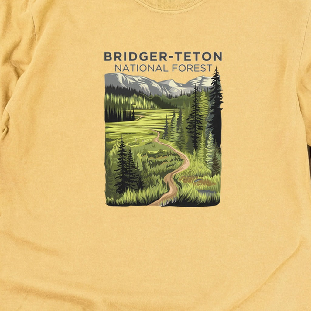 Bridger-Teton National Forest Cotton Long Sleeve