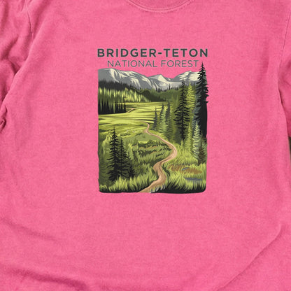 Bridger-Teton National Forest Cotton Long Sleeve