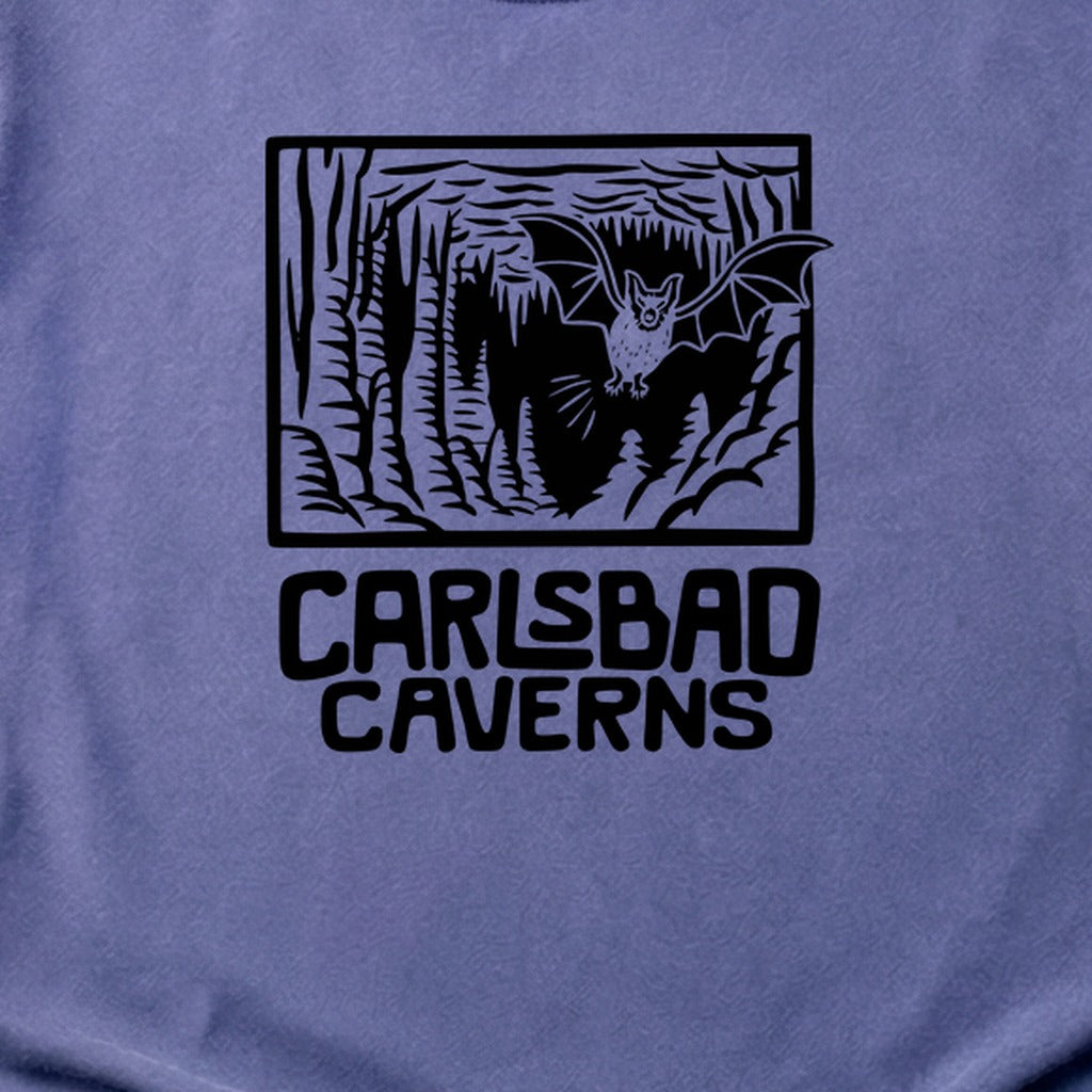Carlsbad Caverns National Park Cotton T-Shirt