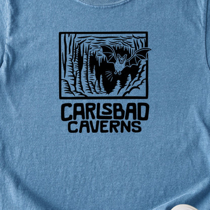 Carlsbad Caverns National Park Kids Cotton T-Shirt