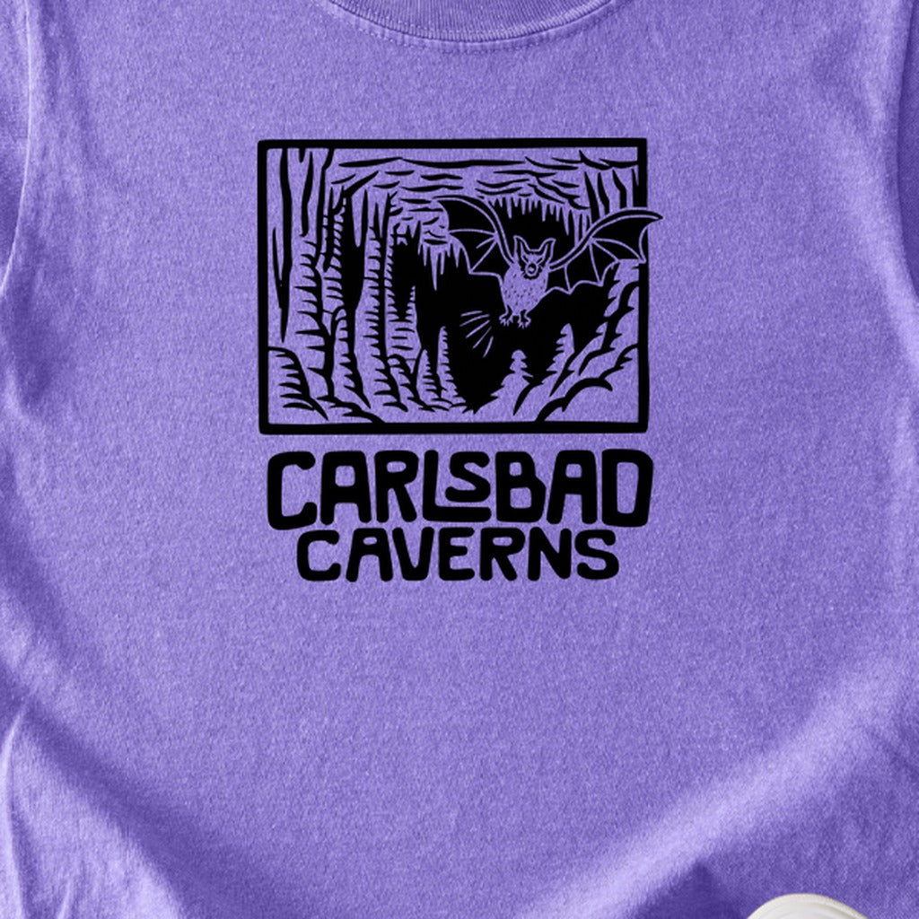 Carlsbad Caverns National Park Kids Cotton T-Shirt