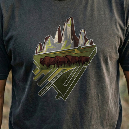 Custer State Park 2 Cotton T-Shirt