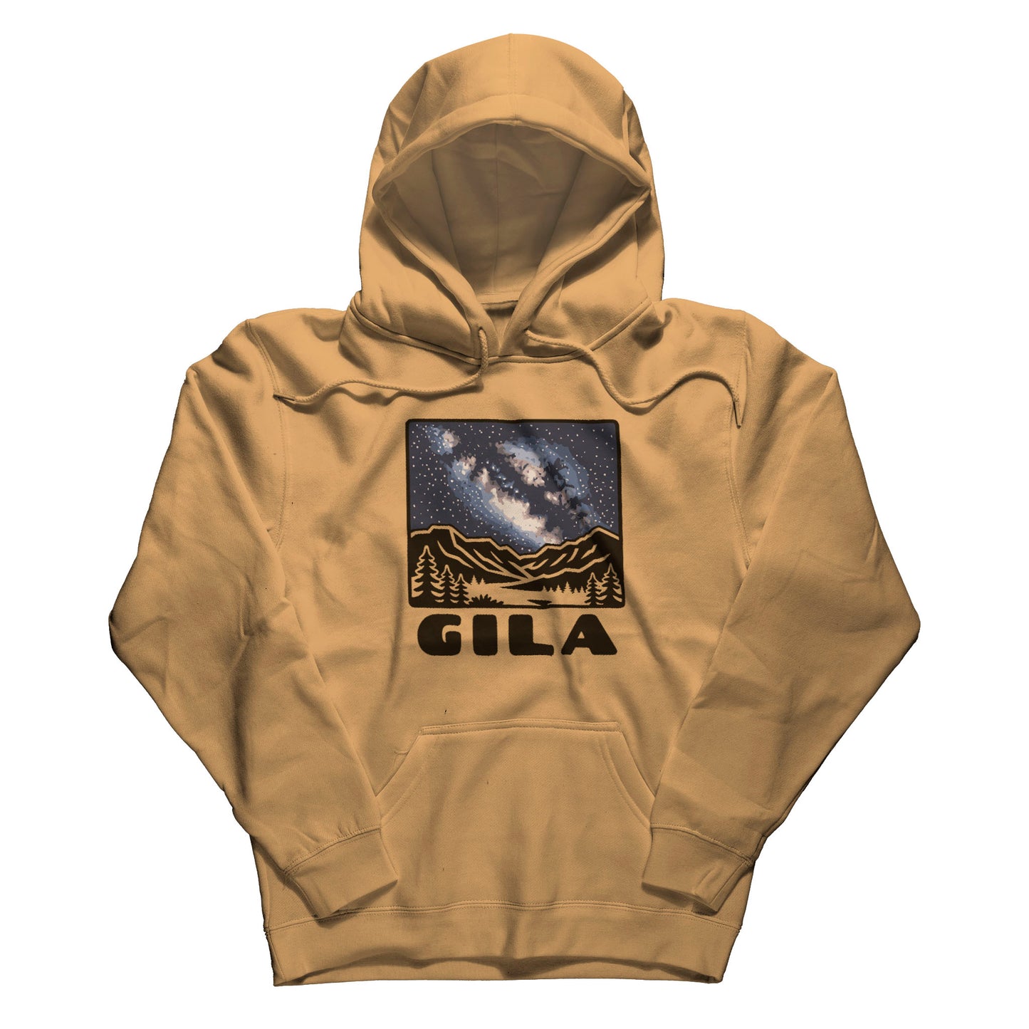 Gila National Forest at Night Hoodie