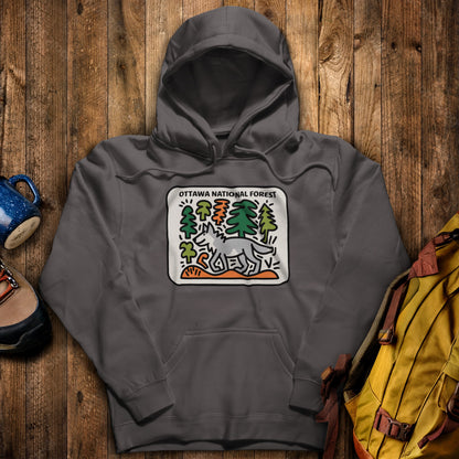 Ottawa National Forest Hoodie Charcoal Adventure and Outdoors Themed Hoodie
