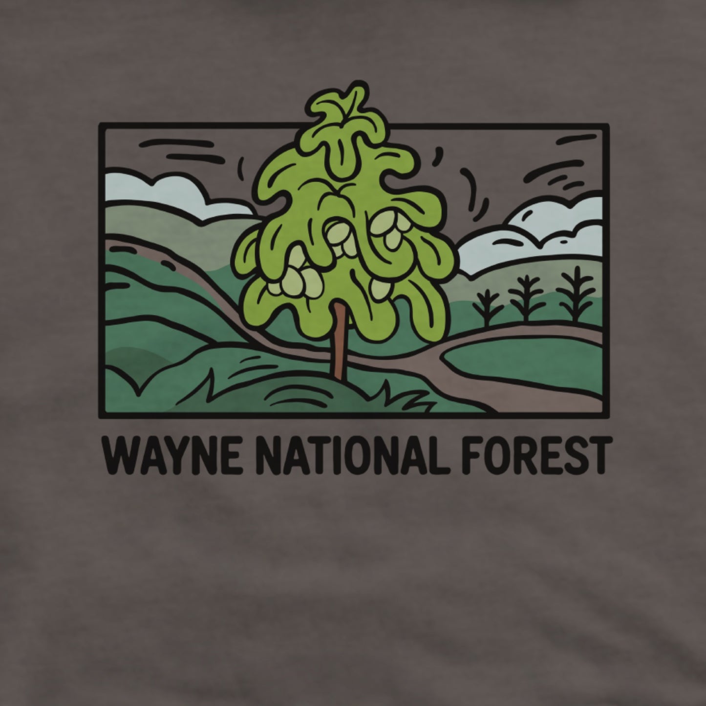 Wayne National Forest Hoodie Adventure and Outdoors Themed Hoodie