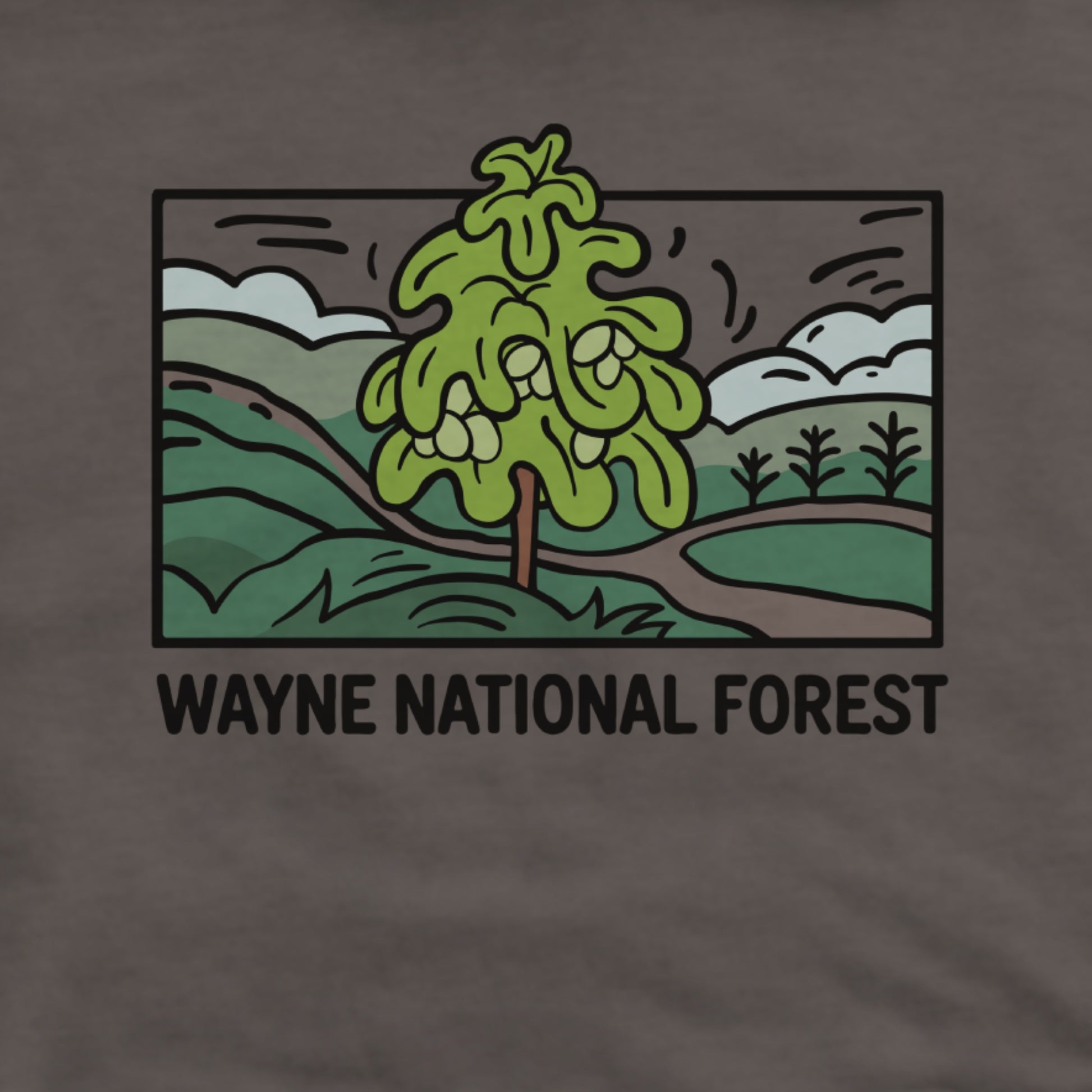 Wayne National Forest Hoodie Adventure and Outdoors Themed Hoodie