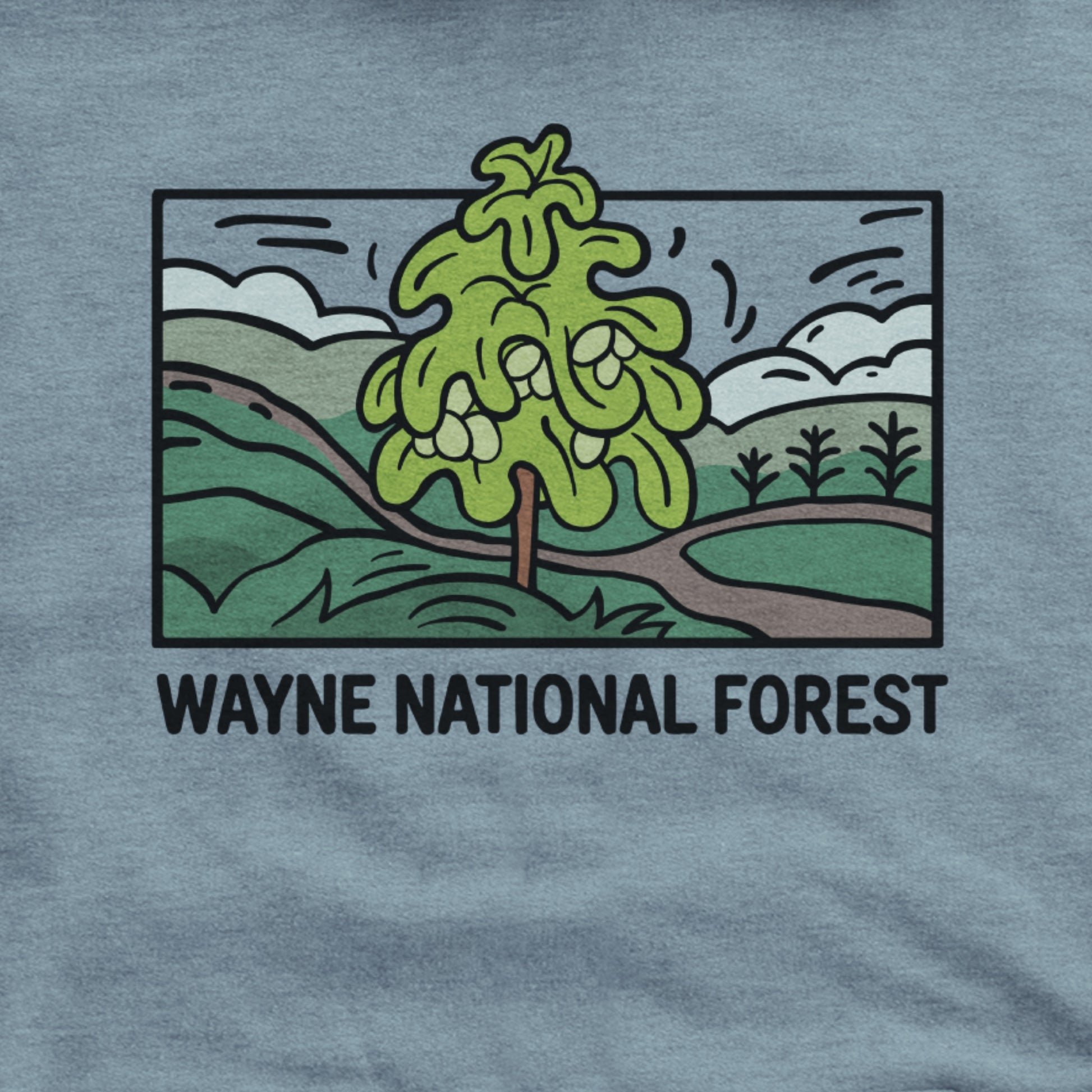 Wayne National Forest Hoodie Adventure and Outdoors Themed Hoodie